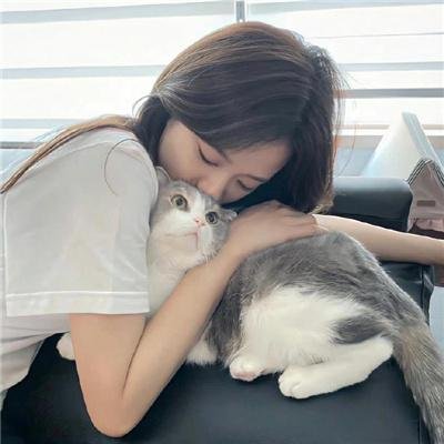 蜂群第一季
